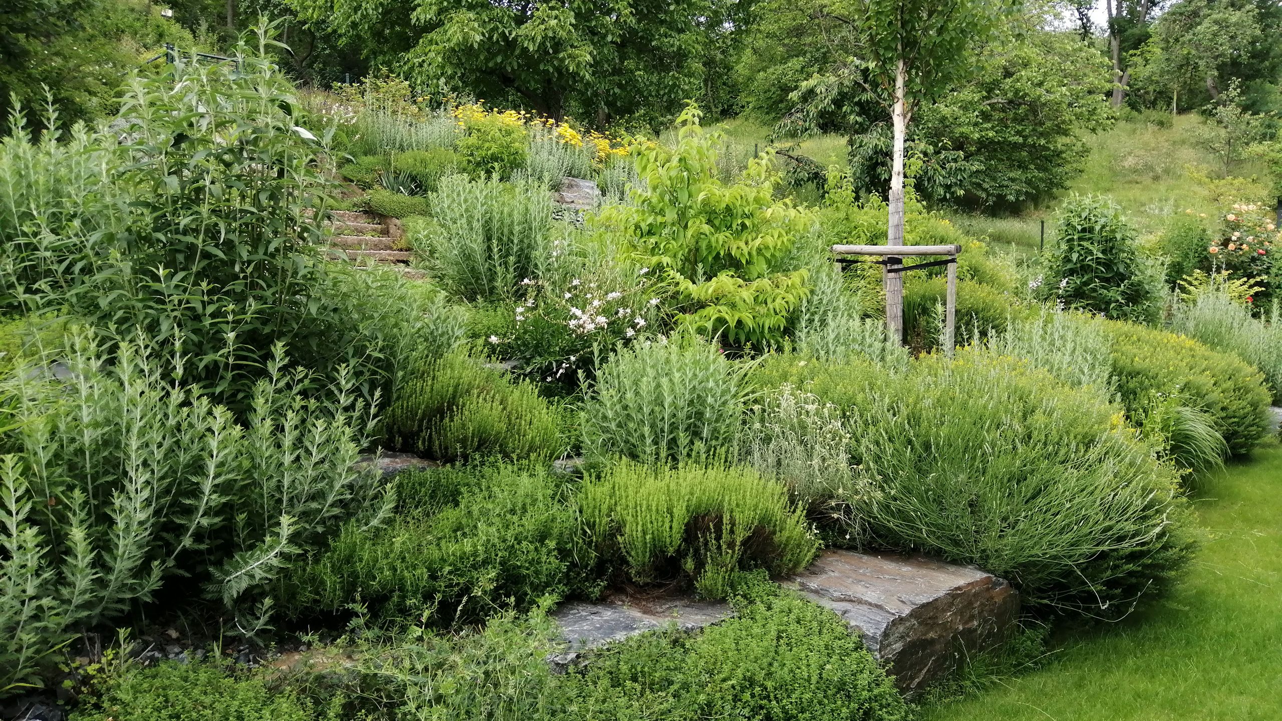 Fotka zahrady v Tróji